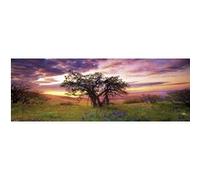 Heye Puzzle Oak Tree, Panorama 2000 pcs Multicolore G