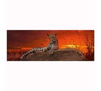 Heye- Puzzle Panorama Red Dawn 2000 Pièces, HEYE-29608, Gris