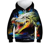 HEYLInUP Crocodile Unisexes Vêtements Enfants Ado Fille Garçons Imprimé en 3D Dessin Animé Graphique Crawling Animals À Capuche Manche Printemps Automne Longue avec Poches Âge : 6-15 Ans 6-7Y
