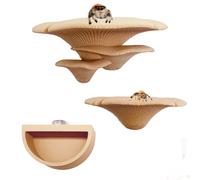 Heyshapeing Étagère en forme de champignon araignée sauteuse - Accessoires de décoration pour habitat et enclos dissimulés magnétiquement, escalade, plateformes d'alimentation et étagères vertes