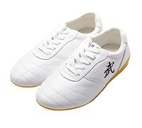 HFCY Chaussures Kung Fu Arts Martiaux Tai Chi Chaussures Taekwondo Boxe Sport Gym Chaussures Poids léger pour Enfants Adultes,White-38