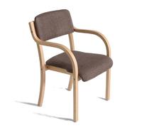 HFERTSCN Chaise de Salle à Manger en Bois Massif Moderne avec Armes Un Dossier rembourré Accent Salon élégant pour la Cuisine de Bureau de Salon FANDIAO