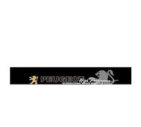 HFFTYU Autocollant de Pare-Brise de Voiture, pour Peugeot 207 2009-2014 Bande Pare-Soleil de Pare-Brise Avant, Autocollants décoratifs personnalisés