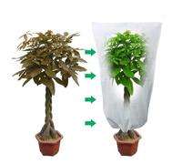 HFGDRH Housse Hivernage Plante Exterieur, Couverture végétale Protection Contre Le Gel Couverture d'arbustes d'hiver des Arbres Respirant et Anti-déchirure Sac de Plantes Chaud(1PC,60X80CM)