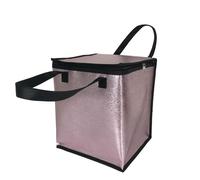 HFGDRH Sacs Pizza Isothermes pour Livraison, Sac De Refroidisseur Imperméable Épaissir Grand Isolé Portable Sacs Thermiques Aliments Emballage Conteneur Boîte Glace(6inch(24X23X28CM))