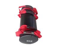 HFGDRH Sacs Poids pour EntraîNement Force, 5-30kg Poids Robuste Sand Power Sac Force Formation Entraînement Fitness Exercice à Sable Build Building Gym Sandbag(5KG)