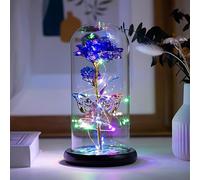 HFHungkeong Cadeaux pour femme, cadeau de fête des mères, d'anniversaire, fleurs artificielles galaxie arc-en-ciel, dôme lumineux, fleurs en cristal, roses papillon, pour maman, petite amie, sœur,