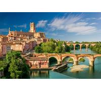 HfmQuisutron Puzzle en Bois 1000 Pièces Toulouse City Travel Landscape Poster for Puzzle Family Stress Reliezing Game Yw20Az