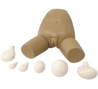 HGAYUBDV Cadeau médical, modèle d'examen et d'évaluation du fond utérin avec 5 utérus interchangeables, modèle d'anatomie utérine féminine for la formation médicale.