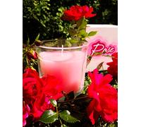 HGD Verre à Votive Rose Grande Cire Rouge