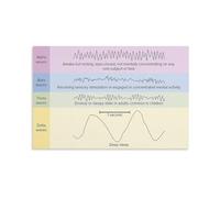 HGETJOHXEM Brain Waves Science Poster Neural Oscillations Chart Psychology Educational Study Guide Canvas Wall-Art for Classroom Office Decor(Unframed,12x18inch(30x45cm))