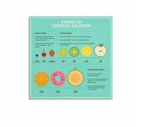 HGETJOHXEM Cervical Dilation Stages Educational Poster - Childbirth Birth Process Chart, Midwife Doula Gift, Nursing Student Wall-Art(Framed,12x18inch(30x45cm))