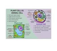 HGETJOHXEM Classroom Biology Decor Animal Plant Cell Poster Science Educational Art Canvas Print Office Wall-Art Bedroom Decor Homeschool Learning Wall Chart(Framed,12x18inch(30x45cm))