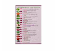HGETJOHXEM Companion Planting Reference Canvas Painting Vegetable Herb Gardening Chart Wall-Art Decor for Living Room Kitchen Bedroom Study(Unframed,16x24inch(40x60cm))