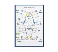 HGETJOHXEM Dog and Cat Anatomy Poster - Pet Teeth Veterinary Chart Educational Canvas Wall-Art for Clinic Home Office Decor(Framed,12x18inch(30x45cm))