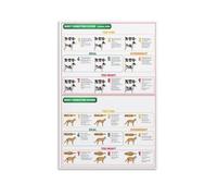 HGETJOHXEM Dog and Cat BCS Chart Poster, Body Condition Score Reference for Weight Monitoring, Educational Wall Art for Pet Lovers, Groomers, and Animal Clinics(Unframed,12x18inch(30x45cm))