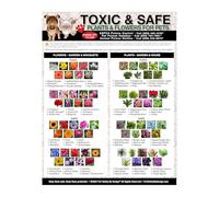 HGETJOHXEM Dog Cat Poster - Toxic & Safe Plants Chart, Guide to Poisonous Flowers for Pets, Pet Owner Essential, Home or Vet Clinic Wall Decor(Unframed,16x24inch(40x60cm))