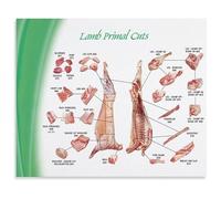 HGETJOHXEM Edible Lamb Cuts Chart Butchery Guide Poster For Kitchen Culinary Classroom Steakhouse Themed Room Decor(Unframed,16x24inch(40x60cm))