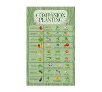 HGETJOHXEM Educational Companion Planting Chart Poster Vegetable Herb Gardening Guide Reference Canvas Wall-Art for Home Kitchen Office Classroom(Framed,08x12inch(20x30cm))