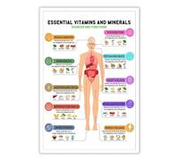 HGETJOHXEM Illustrated Nutrition Chart Poster - Vitamins Minerals and Their Food Sources Wall-Art for Kitchen Decor, Informational Print for Home(Unframed,08x12inch(20x30cm))