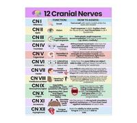 HGETJOHXEM Medical Study Poster: Cranial Nerves Color-Coded Reference Chart for Students, Nurses, and Doctors(Unframed,08x12inch(20x30cm))