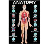HGETJOHXEM The Human Body Systems Poster, Comprehensive Anatomy Reference Chart, Large Science Wall-Art for Teachers, Students & Clinics(Unframed,16x24inch(40x60cm))