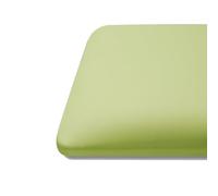 HGFVNFVKHA Coussins D'escalier en Cuir, Coussins pour Fenêtres en Baie avec Mousse Haute Résilience, pour Bancs, Bancs pour Se Changer, Bibliothèques et Marches D'escalier(Green,13.7x13.7x1.5in)