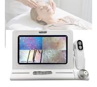 Hggdsac Skin Diagnosis Analyseur de Cheveux, Détecteur de Cuir Chevelu de 13 Pouces, analyseur de Peau Professionnel, Aspect élégant, Opération Simple, pour Le Salon et Une Utilisation Clinique