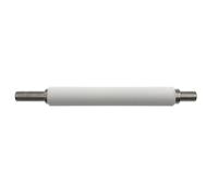 hGiesXgyN 1 X P1037974-028 Kit de Maintenance de Rouleau de Platine Compatible avec l'imprimante d'étiquettes Thermique Zebra ZT200 Series ZT210 ZT220 ZT230 203 dpi 300 dpi(Only Roller)