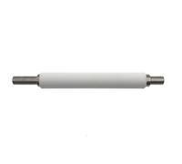 hGiesXgyN Kit de Maintenance de Rouleau d'impression (P1037974-028) Compatible avec Les imprimantes Zebra ZT200 Series ZT210 ZT220 ZT230 ZT111 ZT211 ZT231 ZT231CN(Only Roller)