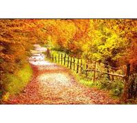 hgjdjhnf Papier peint 3D personnalisé, beau chemin, feuilles d'automne, fond d'hôtel - 300 cm x 210 cm