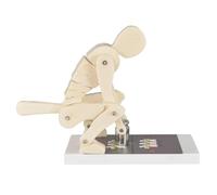 HGSHMY Entraîneur de Colonne Lombaire pour Anatomie Biomécanique, Modèle de Démonstration de Force Vertébrale Humaine, Affichage de Force de Flexion & Haltérophilie, pour Correction(White)