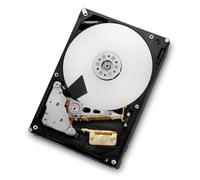 HGST, a Western Digital Company Hitachi Ultrastar 0B26312 HUS723020ALS640 Disque Dur Interne 7K3000 2 to