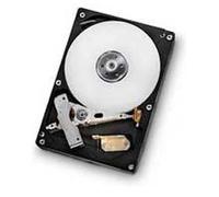 HGST Deskstar 7K1000.D 3.5" 500 Go Série ATA III Disque dur - Disques durs (3.5", 500 Go, 7200 tr/min)