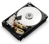 HGST Ultrastar 7K4000 2.0TB 3.5" 2000 Go Série ATA III - Disques durs (3.5", 2000 Go, 7200 TR/Min)