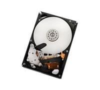 HGST Ultrastar A7K2000 Disque dur 1 To