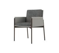 Hhaoran-9868 Chaise de Salon Chaises de Cuisine Modernes, Chaise de Salle à Manger avec Pieds en métal for Cuisine, Salon, Salle à Manger Chaises de Salle à Manger(Grigio)