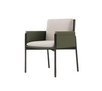 Hhaoran-9868 Chaise de Salon Chaises de Cuisine Modernes, Chaise de Salle à Manger avec Pieds en métal for Cuisine, Salon, Salle à Manger Chaises de Salle à Manger(Green)