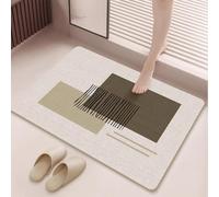 hhbzhdpg Tapis Absorbant en Boue de Diatomées, Carpette Antidérapant, Moquette de Bain Lavables, Accessoires Salle de Bain Décoratifs à Placer Devant La Baignoire Ou La Douche(C,50 * 80CM)
