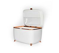 HHCTEBEC Mini RéFrigéRateur De Soins De La Peau De 9 L, RéFrigéRateur Portable pour Accessoires De Soins De La Peau, Maquillage, CosméTiques Et Masques Faciaux