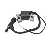 Hhfksci Ensemble Système D'allumage Ensemble De Module De Bobine D'allumage De Générateur De Gaz, pour 168F 170F GX160 2KW 3KW