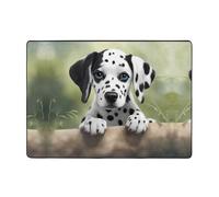 HHGFASD Joli tapis doux, moelleux, absorbant l'eau, durable, motif dalmatien, pour salon, bureau, table basse, lit, balcon, 203,2 x 147,3 cm
