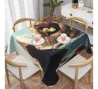 HHGFASD Nappe décorative carrée à motif Seals under the cliff - 152,4 x 152,4 cm - Imperméable, infroissable, réutilisable pour cafés, buffets, pique-niques, mariages, fêtes