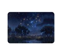 HHGFASD Paillasson 40,6 x 61 cm Motif constellations dans les étoiles Tapis de sol absorbant l'eau Antidérapant pour portes d'entrée, entrée et salle de bain
