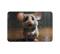 HHGFASD Paillasson de 40,6 x 61 cm Motif petite souris qui pleure - Absorbant l'eau - Antidérapant - Pour portes d'entrée, entrées et salles de bains