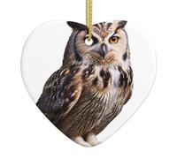 HHGFASD Pendentif de Noël en céramique avec motif chouette porte-bonheur avec corde dorée pour accrocher facilement la décoration