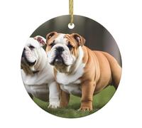 HHGFASD Pendentif rond en céramique Motif bouledogues anglais Décoration à suspendre