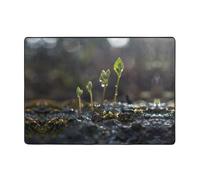 HHGFASD Young sprouts in the rainy season - Tapis doux, moelleux, absorbant l'eau, durable, pour salon, bureau, table basse, lit, balcon, 203,2 x 147,3 cm