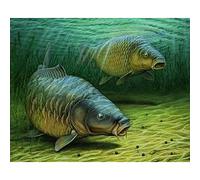 HHHU Puzzles pour Adultes 1000 Pièces, Puzzle Poisson Carpe Jeu Intellectuel Jouets d'apprentissage Puzzle De Décoration De La Maison (75 × 50 Cm)