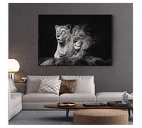 HHLSS Impressions Photo 70x90 cm sans Cadre Noir et Blanc Couple Lion Affiche Peinture Animaux Sauvages Toile Photos Art Mural pour Salon décoration